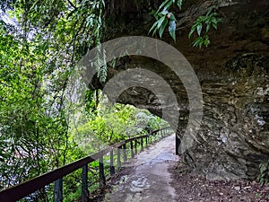 Empty Shakadang Trail goes through a cliff along trees with Liwu River in a mist during the pandemic before 403