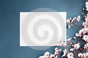 Empty sheet of paper surrounded by small white flowers. Blank card on blue background photo