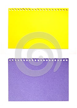 Empty sheet of yellow and purple paper isolated