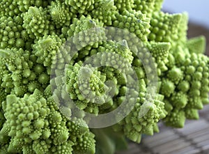 Fresh Romanesco broccoli