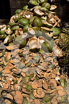 Empty shels of fresh coconuts in the market