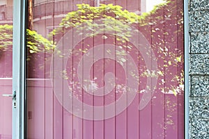 Empty shop window with pink curtain for business brand, restaurant, office logo mockup. Blank office window copy space mock up