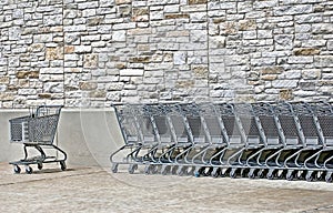 Empty Shopping Carts