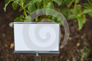 Empty sign in the vegetable garden. Plate for price or text insertion.