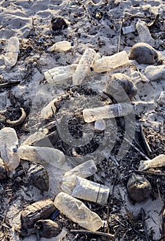Empty single used plastic bottle polluting beach