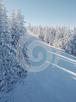 Empty ski slope with blue sky