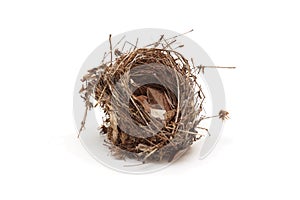 Empty small bird nest isolated