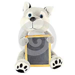 Empty small school blackboard in hand of teddy bear on white background