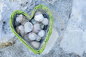Empty snail shells in a heart-shaped basket