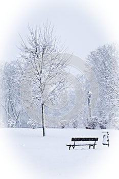 An empty snow-covered park bench near a tree on a winter day. Snow-covered city park, snowfall. Winter landscape. Vignette