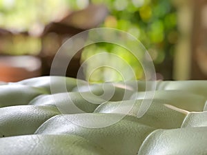 Empty sofa with blurred background with window and garden