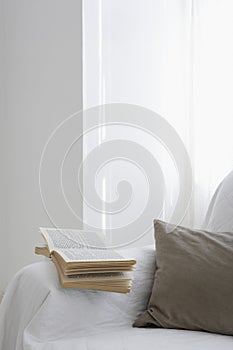 Empty Sofa with a book