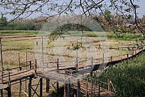 Empty space, bamboo bridge, Bangna, behind the nature of Thailand