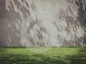 Empty space for product show, lawn and Trees shadow on the wall