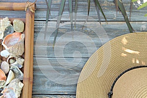 Empty space template with shells and hat on woodwn backdrop