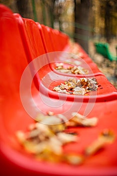 Empty sports red stands in the leaves in the fall. Yellow leaves lie on the red seats of the stands