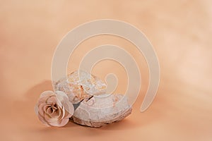 Empty stack of stones podium on beige background with flower and shadows. Minimal empty display product presentation scene