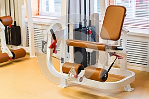 Empty standing leg curve exercise machine in modern gym