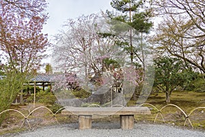 Empty stone seat in Japanese garden
