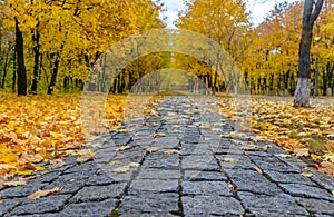 Empty stone sidewalk with leaves on side