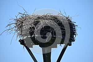 Empty storks nest blue sky