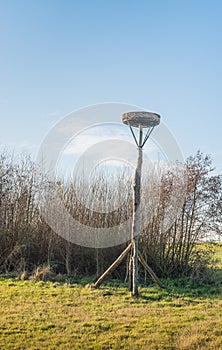 Empty storks nest on a wooden pole