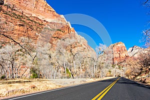 Empty straight Zion Canyon scenic drive