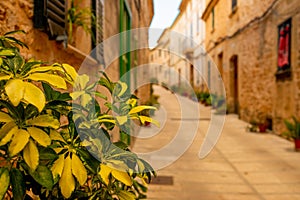 Empty street in alcudia, a traditional old spanish town with historical building architecture in palma de mallorca