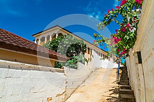 Empty street with flowers in african village Kendwa, Zanzibar island, Tanzania