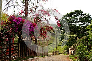 One street of CabeÃÂ§a de Boi village in Minas Gerais photo