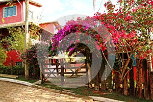 One street of CabeÃÂ§a de Boi village in Minas Gerais photo