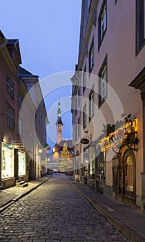 Famous street in Tallin with Christmas tree