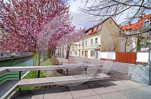 Empty streets in Ljubljana`s old city center on spring Sunday morning, usually packed with people, due to coronavirus quarantine photo