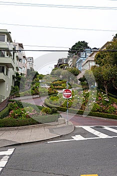 Empty Streets of San Francisco during Covid-19 Pandemic, quarantine, famous Lombard street, California Usa