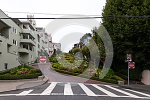 Empty Streets of San Francisco during Covid-19 Pandemic, quarantine, famous Lombard street, California Usa