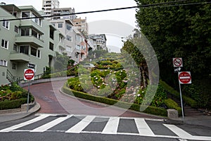 Empty Streets of San Francisco during Covid-19 Pandemic, quarantine, famous Lombard street, California Usa