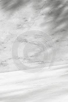 Empty Studio background,Marble Texture with leaves shadow overlay on white and grey on wall background with Glossy Floor,Product