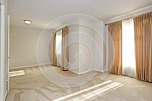 Empty sun filled room with carpet floor and cream walls