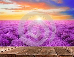 Empty surface in lavender field at sunset