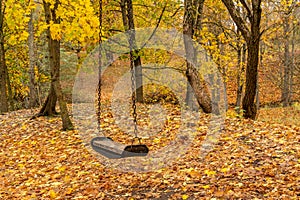 Empty swing in autumn park full of fallen leaves