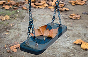Empty swing with a withered maple leaf in a playground