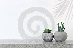 Empty table with small plant over white background