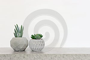 Empty table with small plant over white background