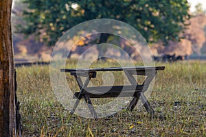 Empty table on Sunny day. Garden furniture for leisure in nature. Wooden table under the tree in summer orchard. Wooden outdoor