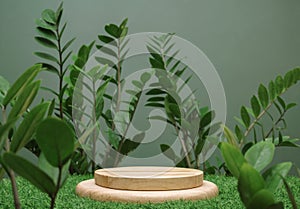 empty table top wood counter podium on grass tropic forest jungle plant blurred dark green background.natural product present