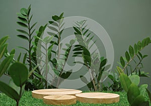 Empty table top wood counter podium on grass tropic forest jungle plant blurred dark green background.natural product present