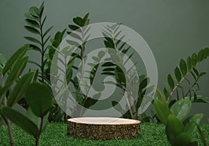 empty table top wood counter podium on grass tropic forest jungle plant blurred dark green background.natural product present