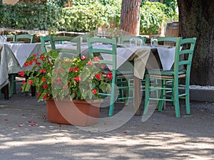 Empty Tables Set for Outdoor Lunch under an Olive Tree in a Tuscan Village in Italy