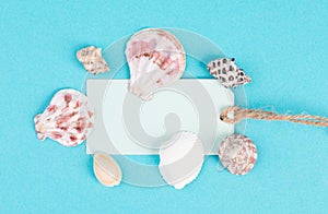 Empty tag with seashells around, holiday and summertime background, vacation ad travel concept