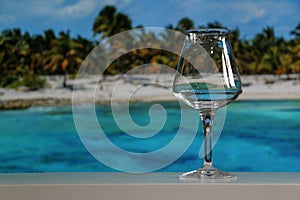 Empty Teku Beer Glass Tropical Background